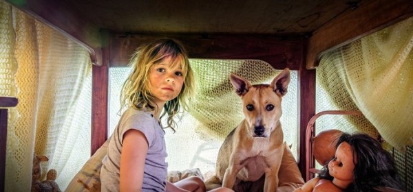 Don't Let's Go to the Dogs Tonight