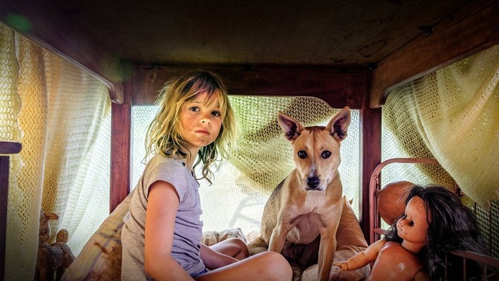 Don't Let's Go to the Dogs Tonight